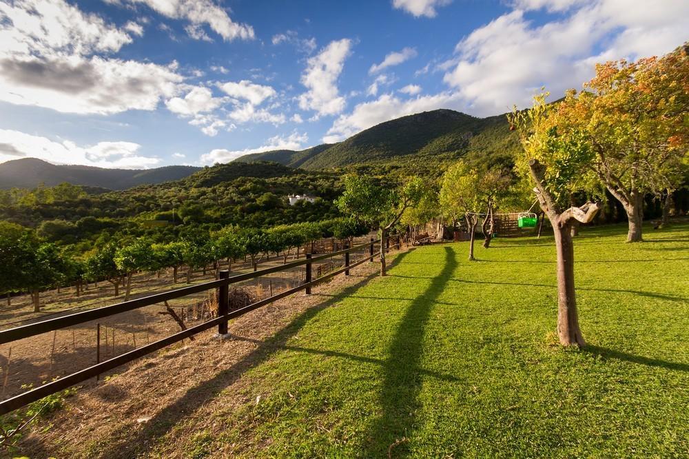 Finca El Huertezuelo El Bosque Bagian luar foto